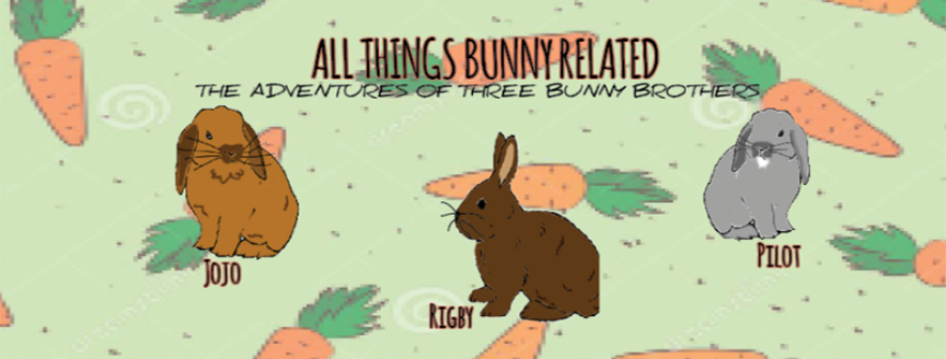 All Things Bunny Related