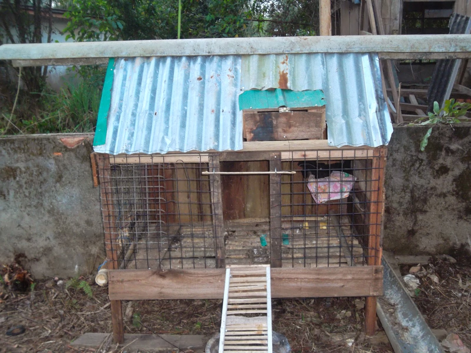 Tuhan Mahukan Aku Jadi Petani Reban Ayam Bermodalkan Rm3