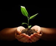 Frasi poetiche pensieri amorosi riflessioni sentimentali - frasi sentimentali sulla vita
