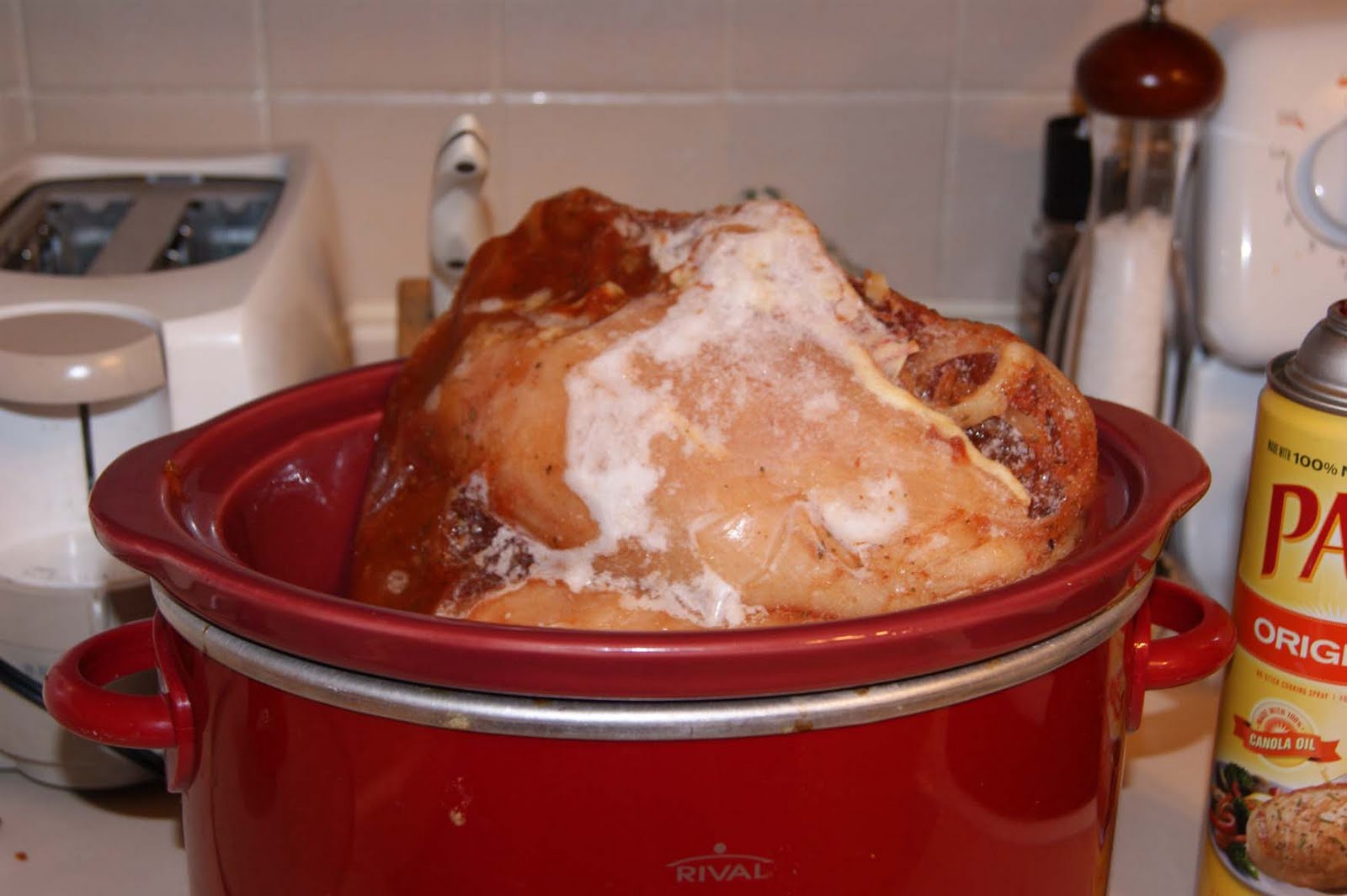 Freezer Burned Chicken Yawn