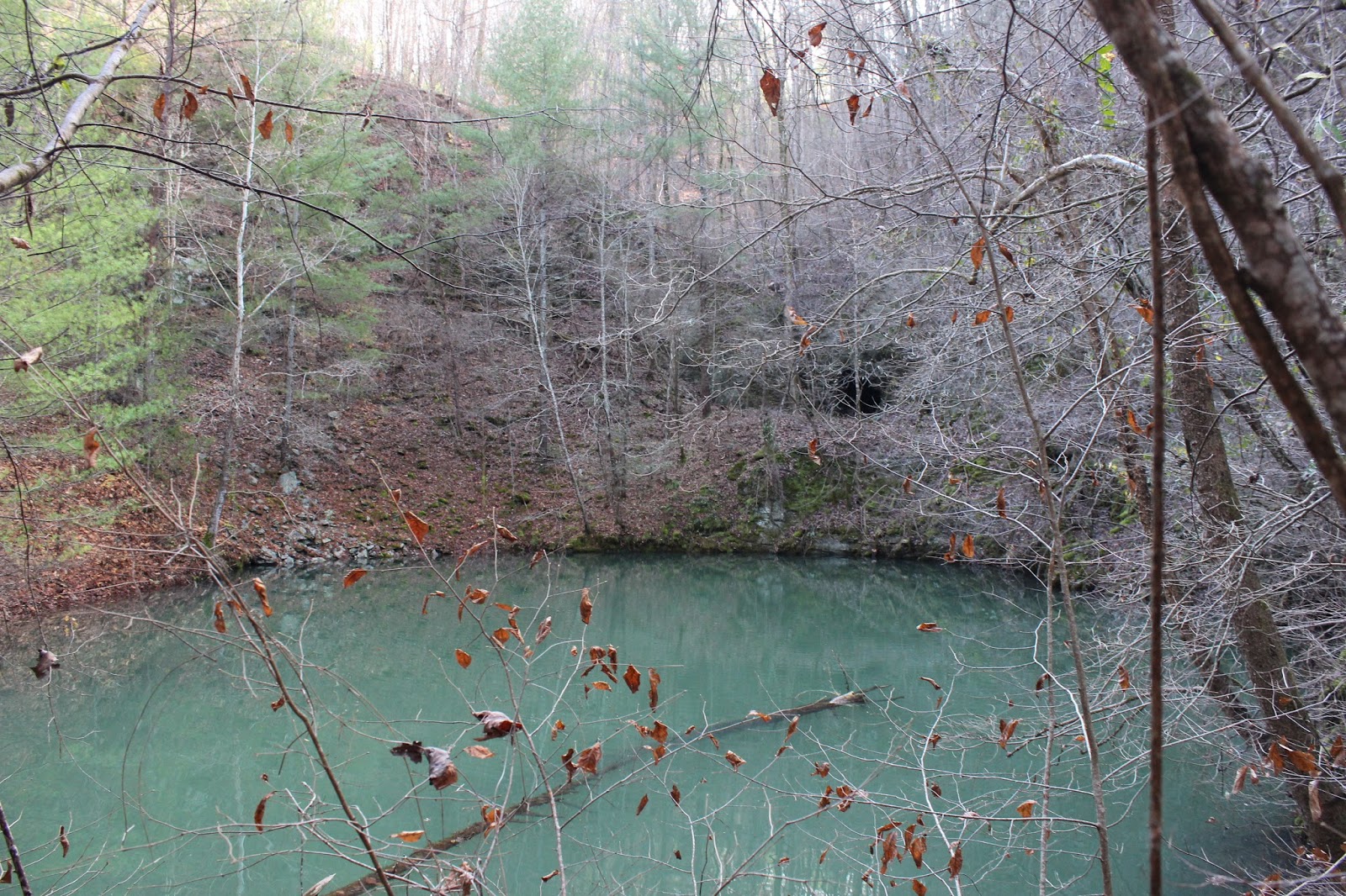 Cumberland Gal Attempt at Reaching Fall Branch Falls 130 footer