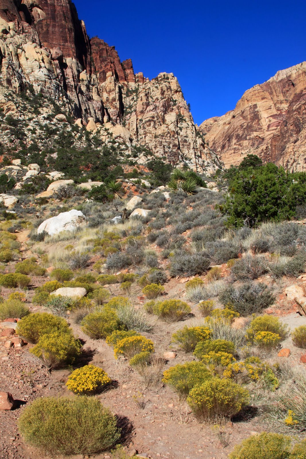 Around the Bend Friends ® Oak Creek Canyon 10/20/11