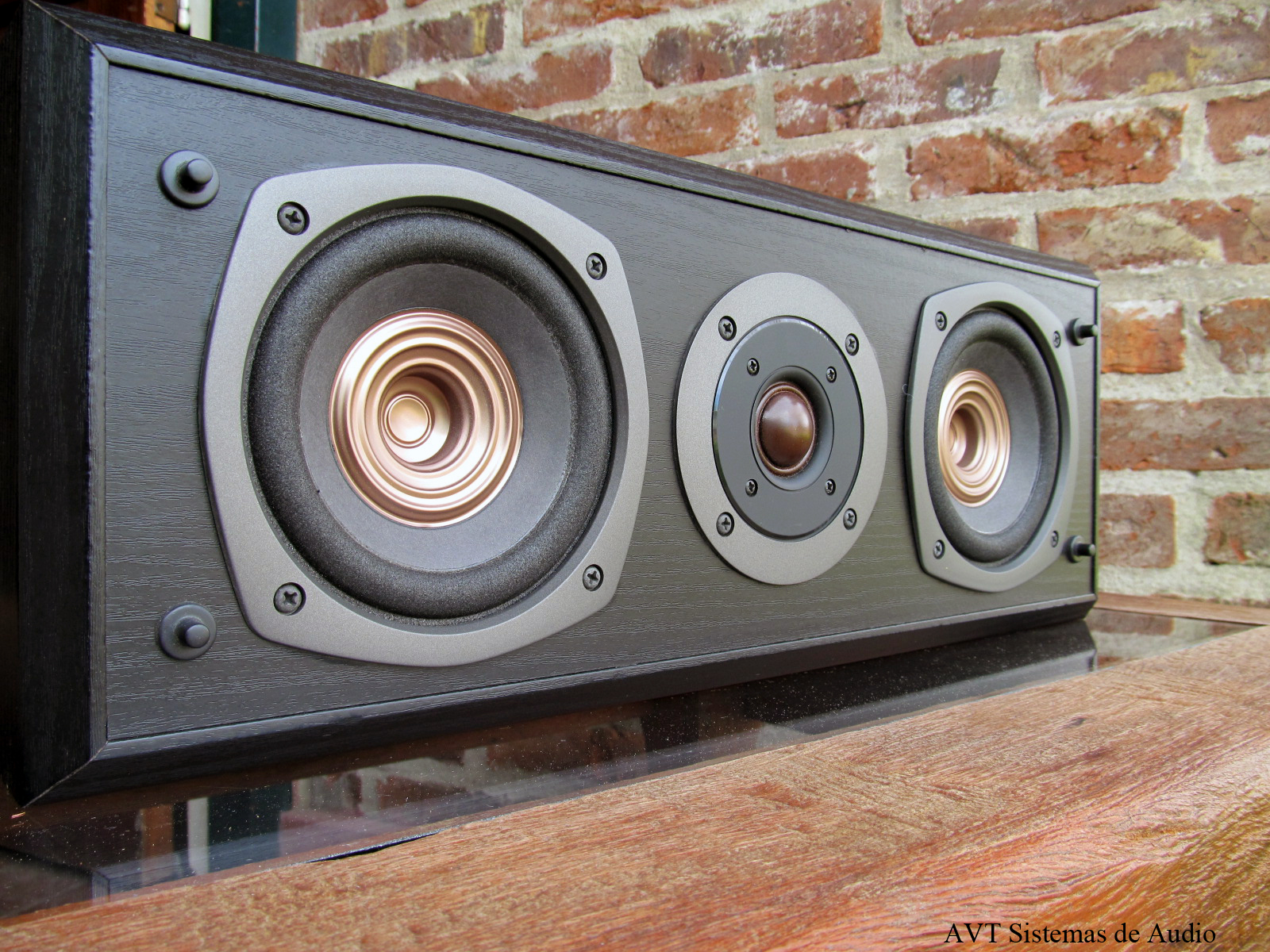 technics center speaker