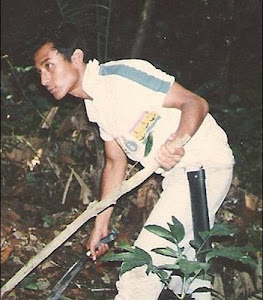 hutan simpan