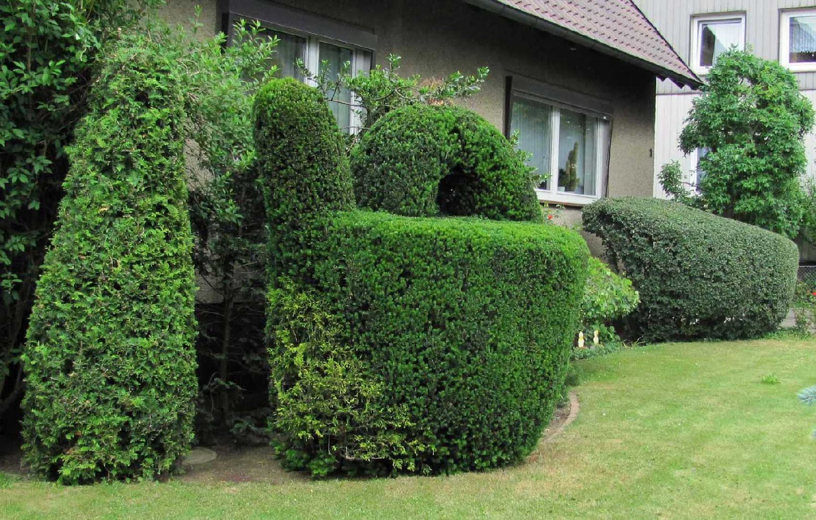 Gartenanders Formschnitt für Gehölze Beispiele und Tipps
