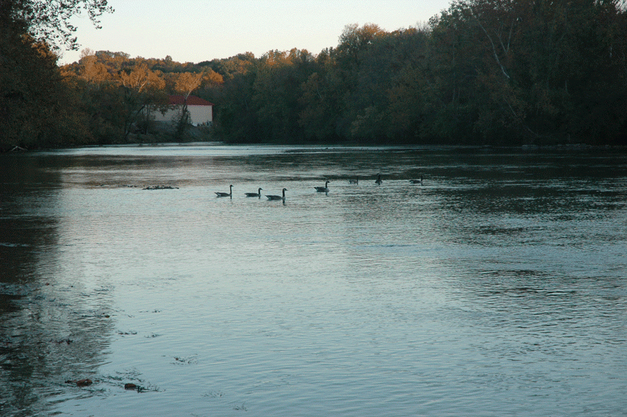 4. Holston River along John Sevier Hwy under I 40 Bridge