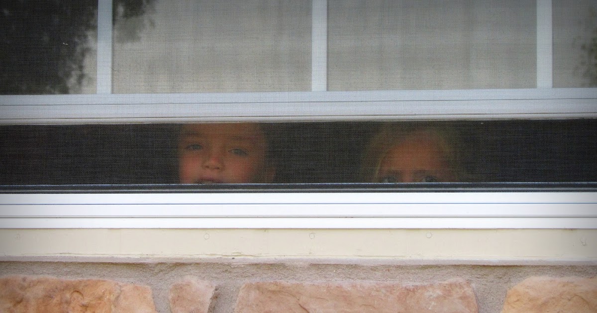 Project 365 Day 216 Window Peepers