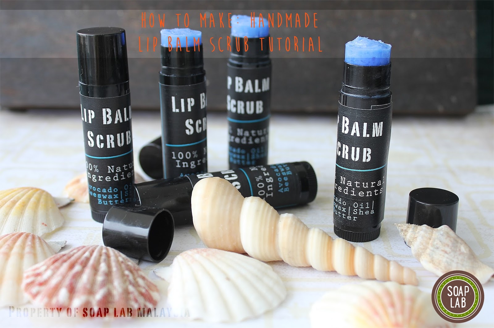 SoapLab Malaysia How To Make Handmade Lip Balm Scrub (2 in 1)