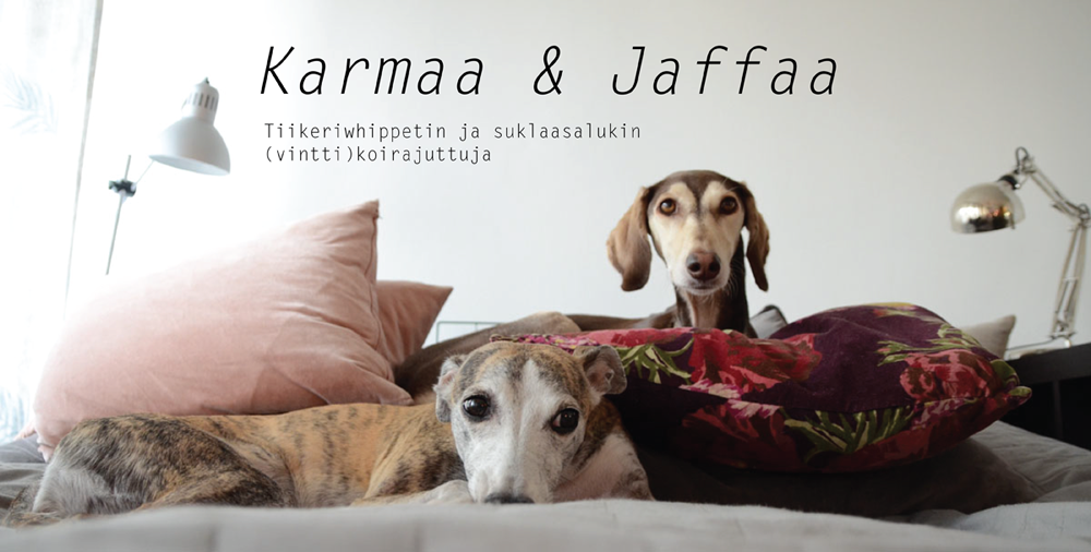 Karmaa ja Jaffaa