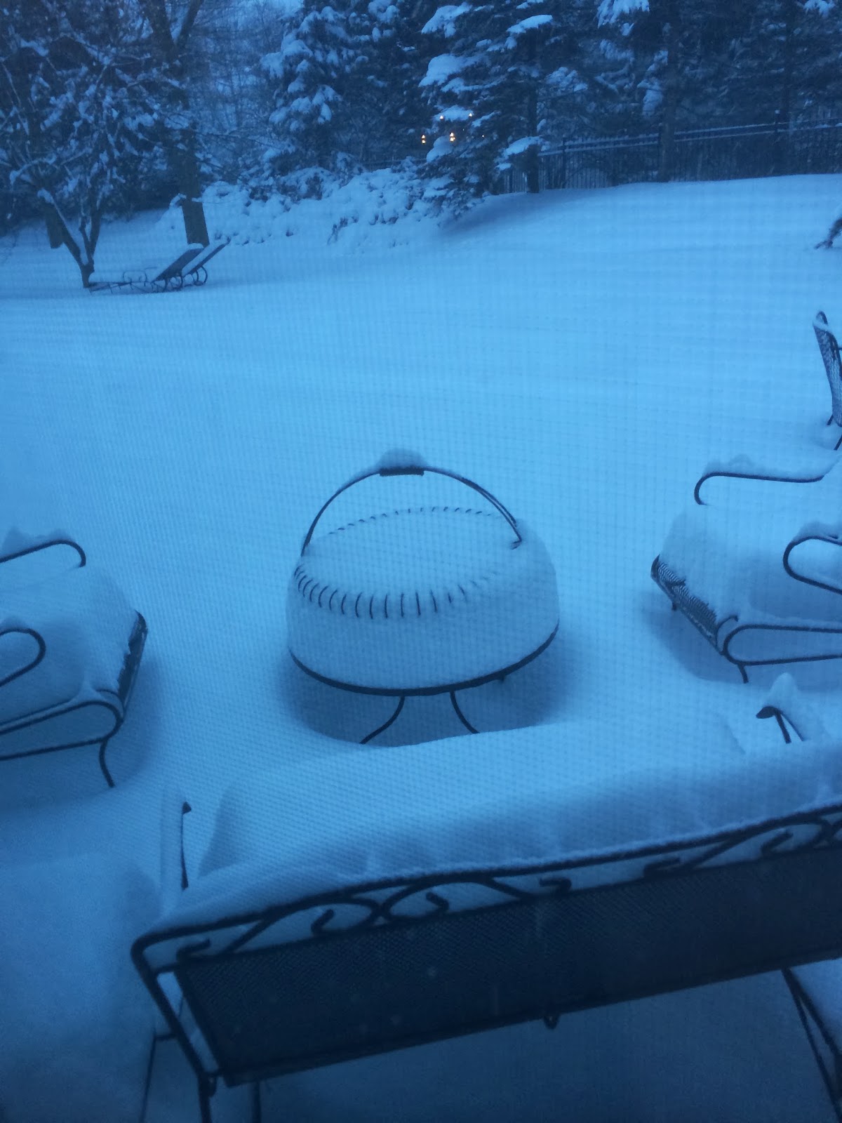 This Side of Fifty Snow Days