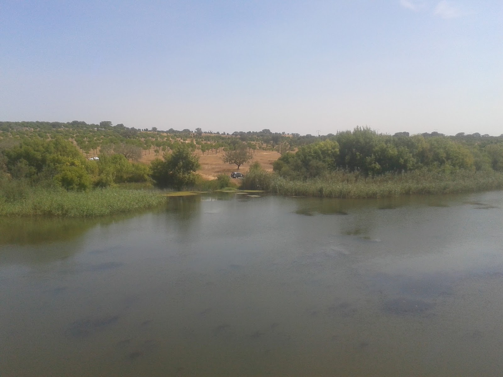 Açude do Furadouro na Ribeira da Raia - Mora Açude do Furadouro na Ribeira da Raia - Mora