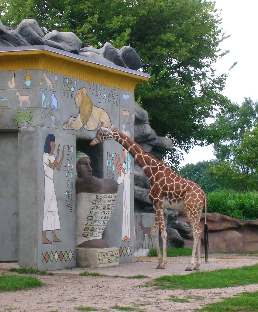 The Circus "NO SPIN ZONE" Giraffe HouseDetroit Zoo
