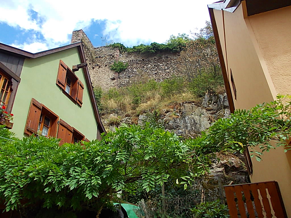 Maschas Buch Guten Morgen Zebedaus