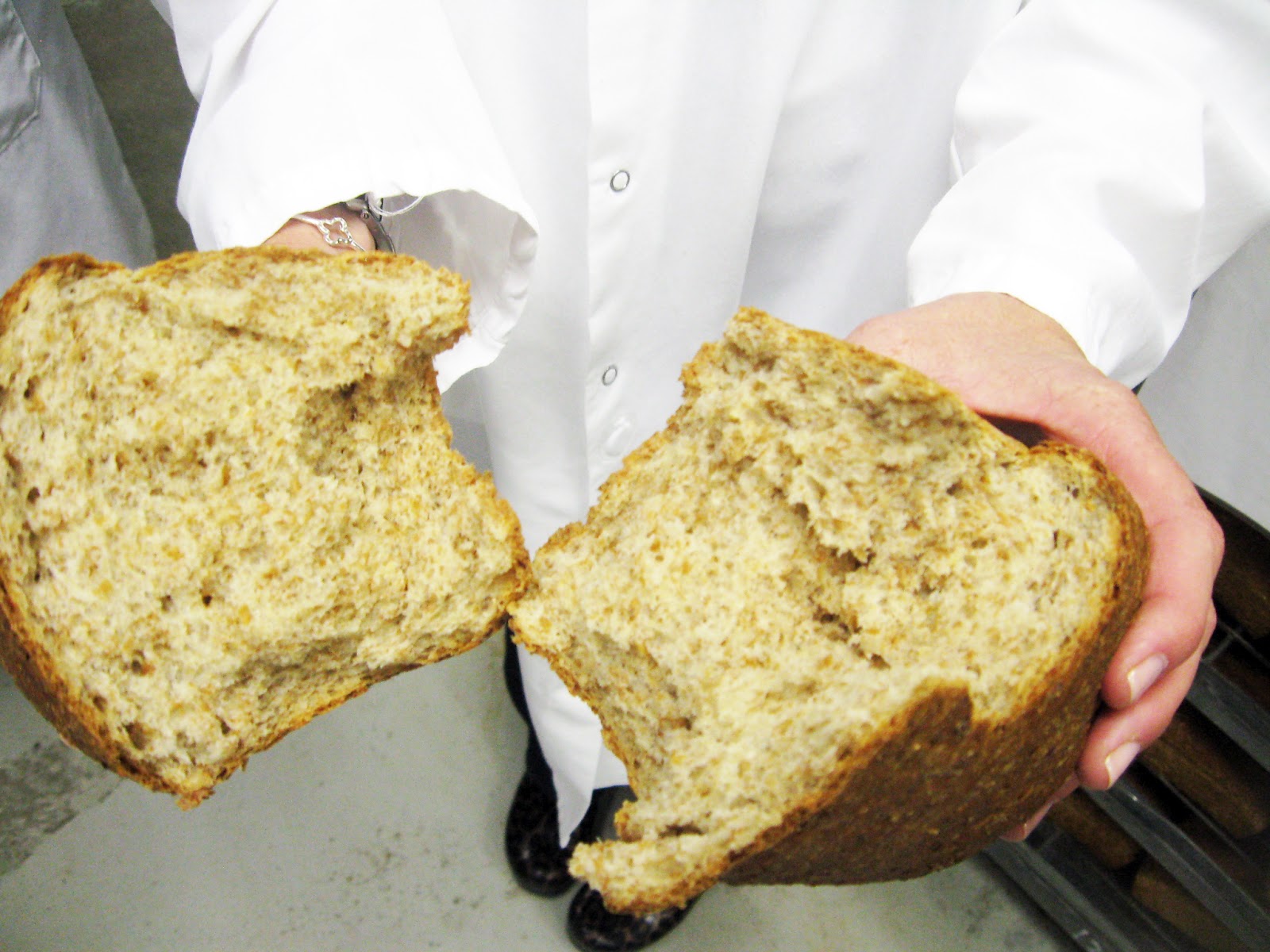 Burp! Give Yourself Time to Sprout Cybros Bread Giveaway