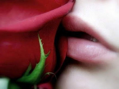 Red Rose and Lips Wallpaper