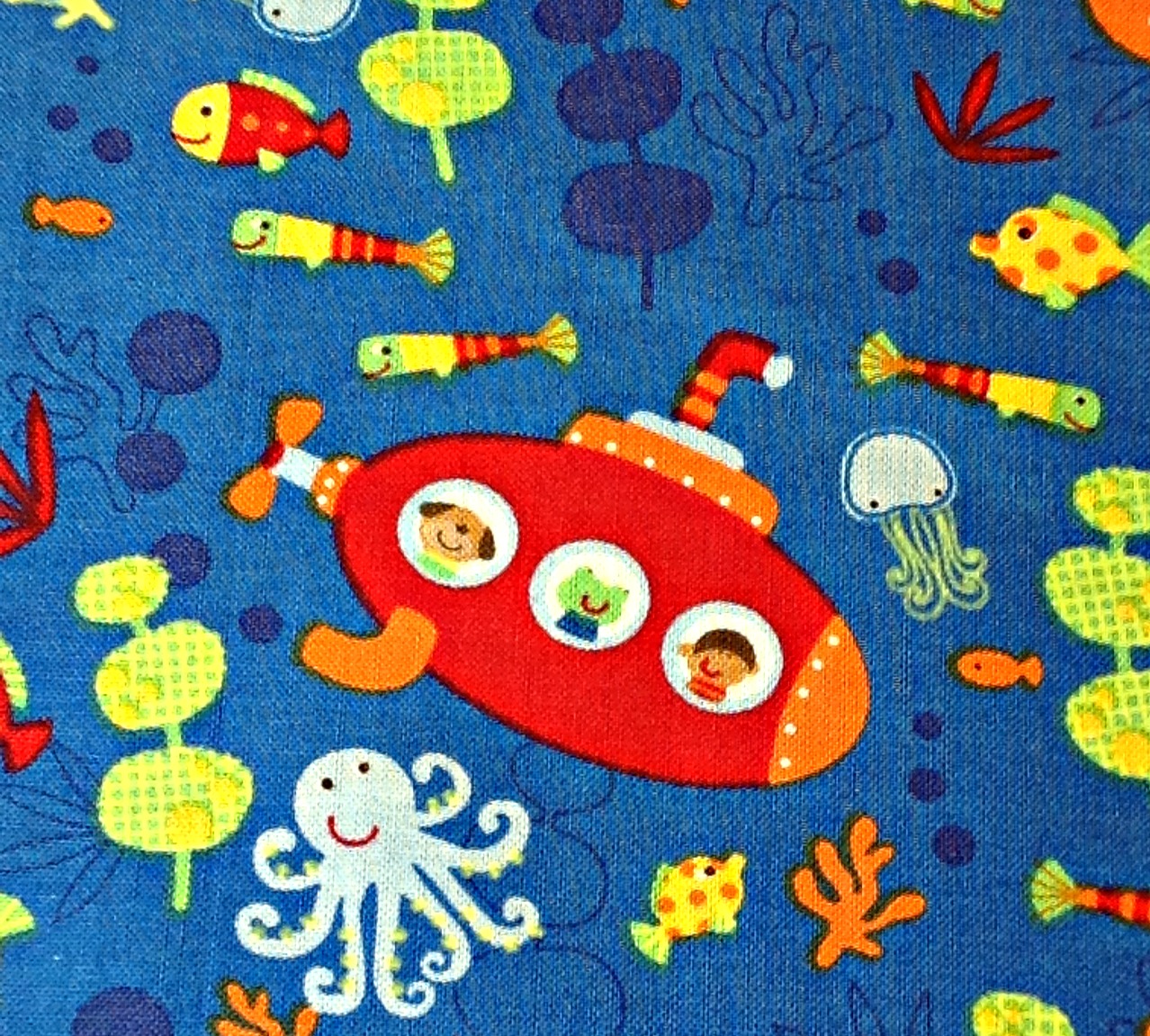 Jane's Fabrics and Quilts Baby Boy Quilt