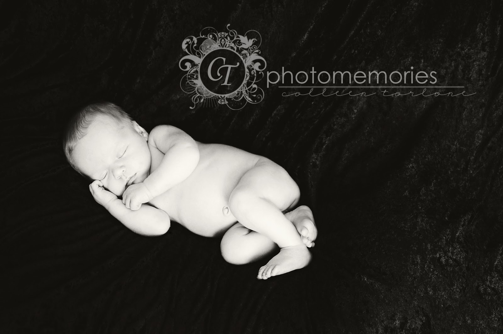 baby buckeye photography