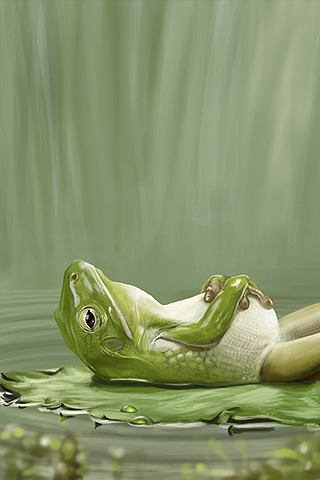 iPhoneZone: 20+ Most Beautiful Examples of Frog Wallpapers for iPhone