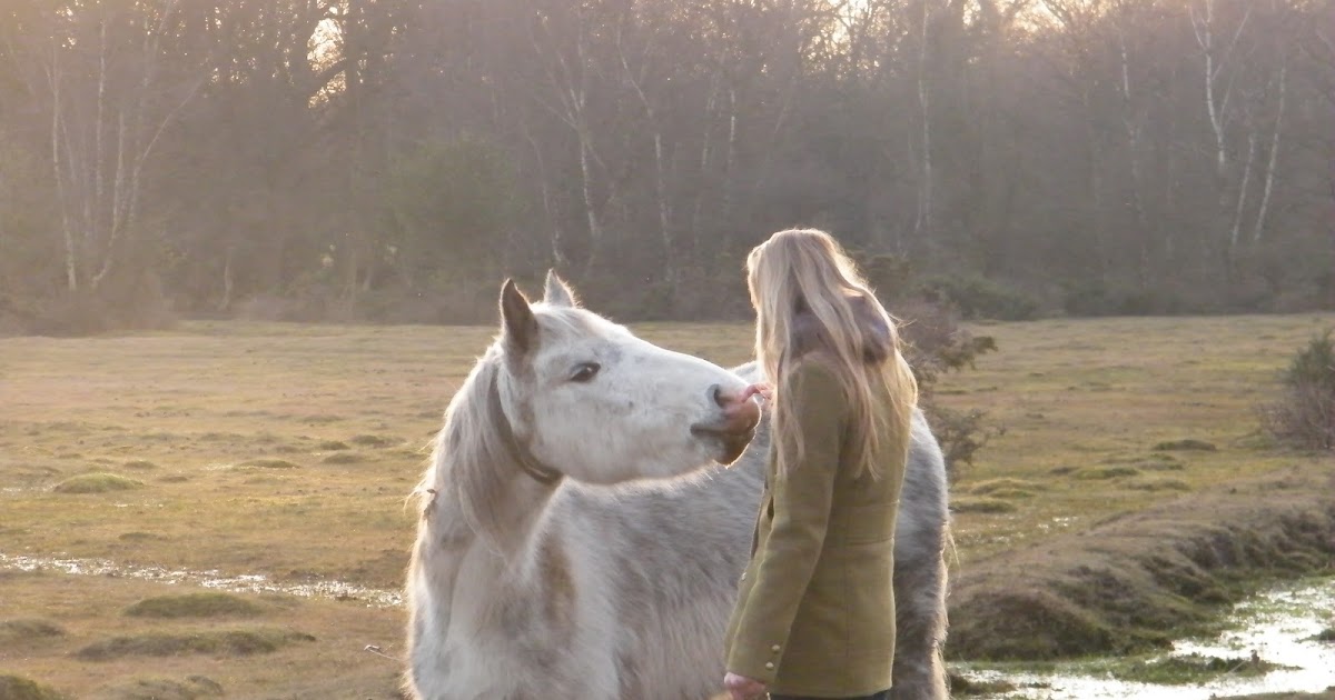 Ribbons in a horses tail. What do all the different colours mean