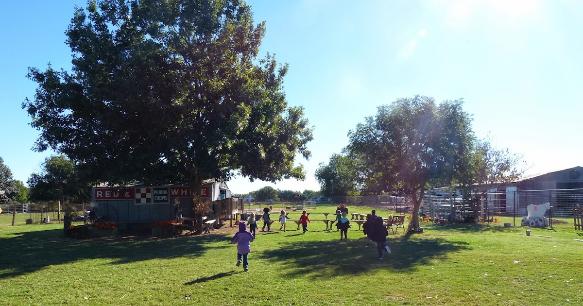 Paula's Primary Classroom Lowes Miniature Farm Field Trip!