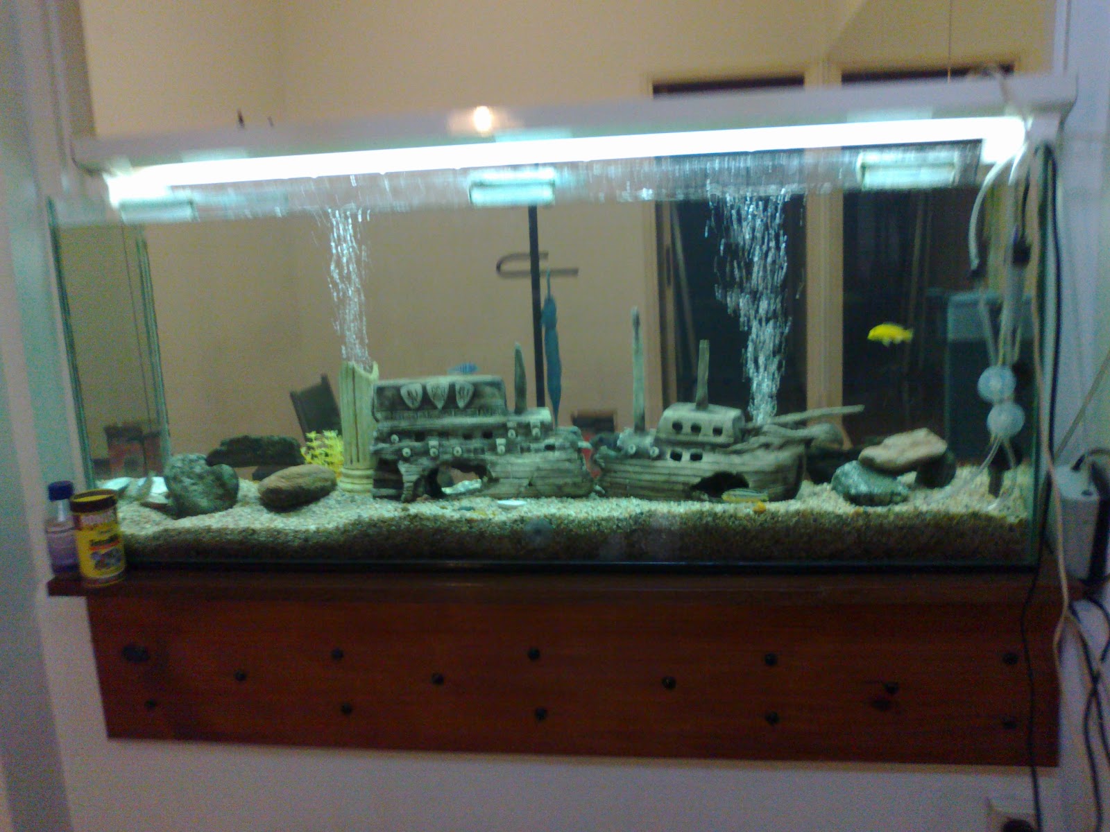 acuarios decorpez blogger