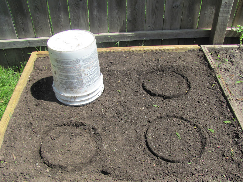 Sweet Domesticity: Three Sisters