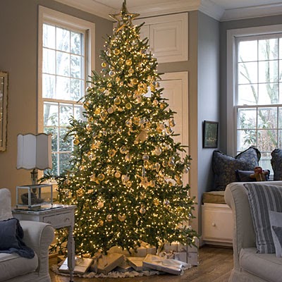 Albero Di Natale Bianco E Rosso.Dove Mettere L Albero Di Natale