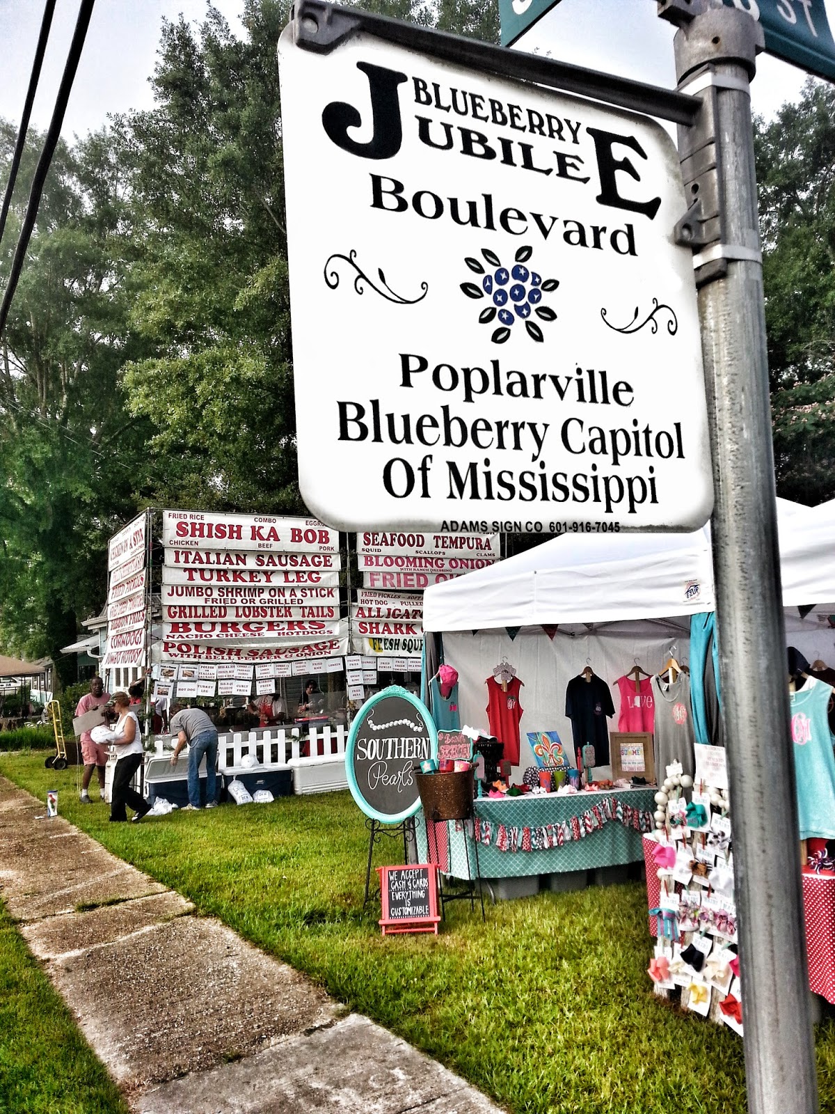 Mississippi Travels The Poplarville Blueberry Jubilee (4.5 stars)