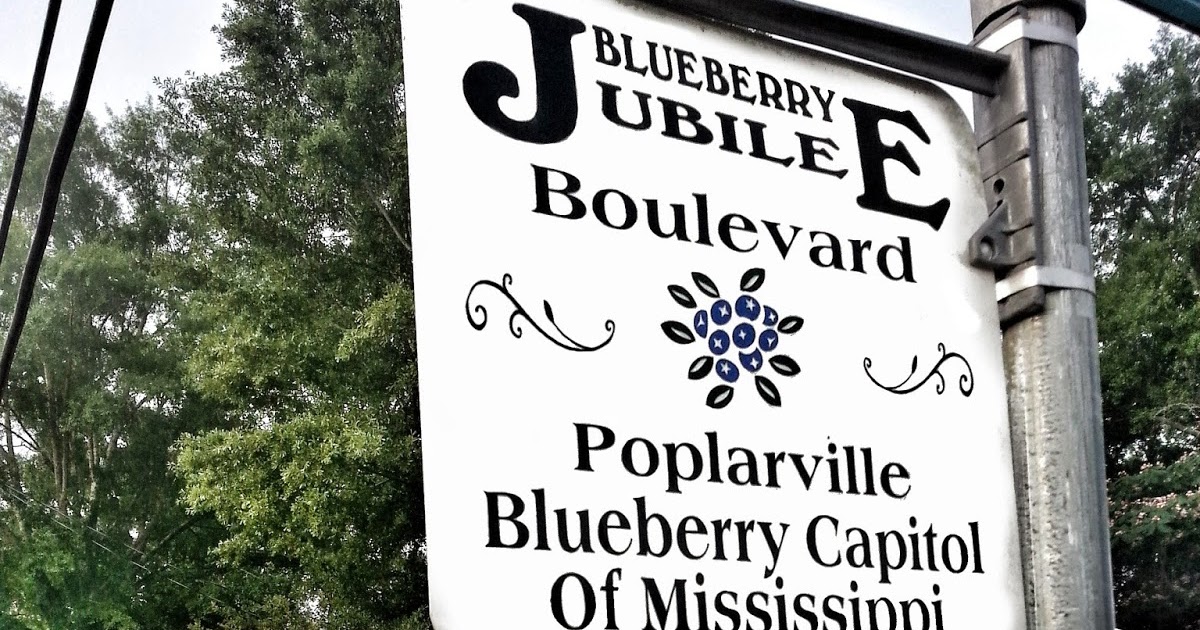 Mississippi Travels The Poplarville Blueberry Jubilee (4.5 stars)