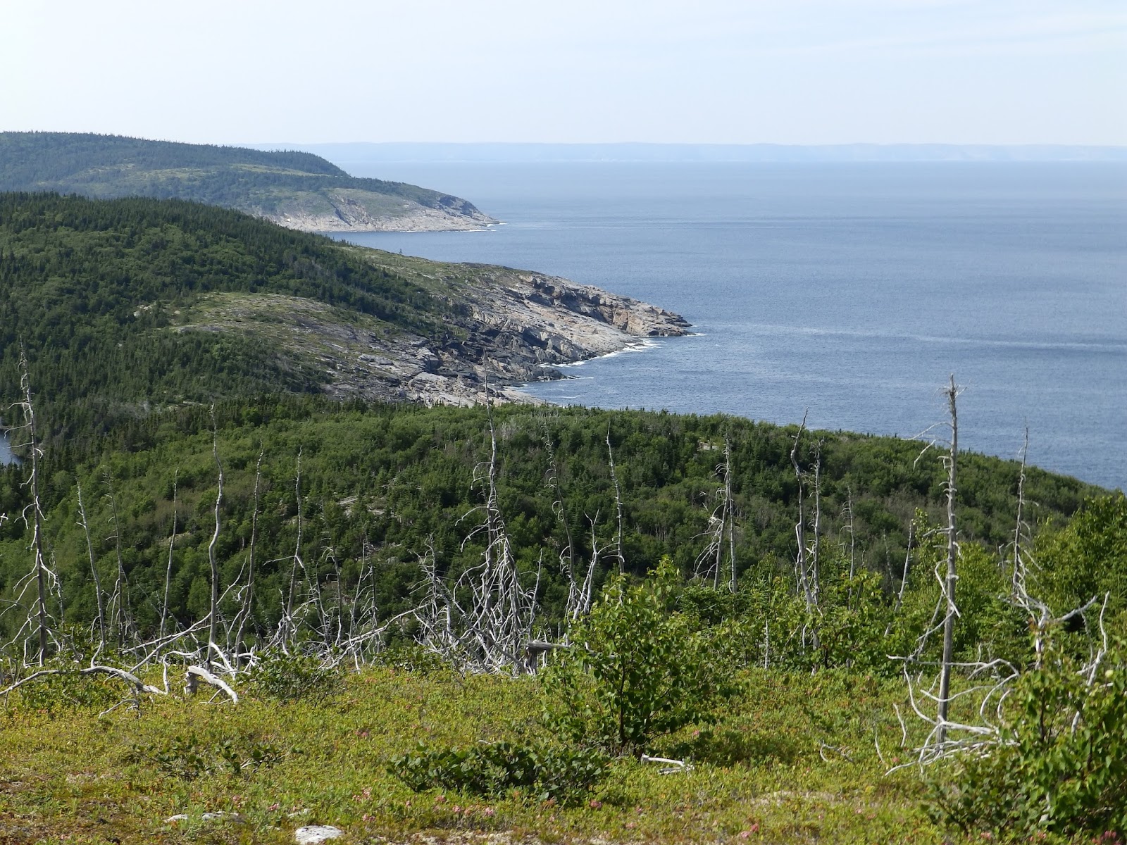 Northern Exposure 2013 Fleur De Lys, Newfoundland