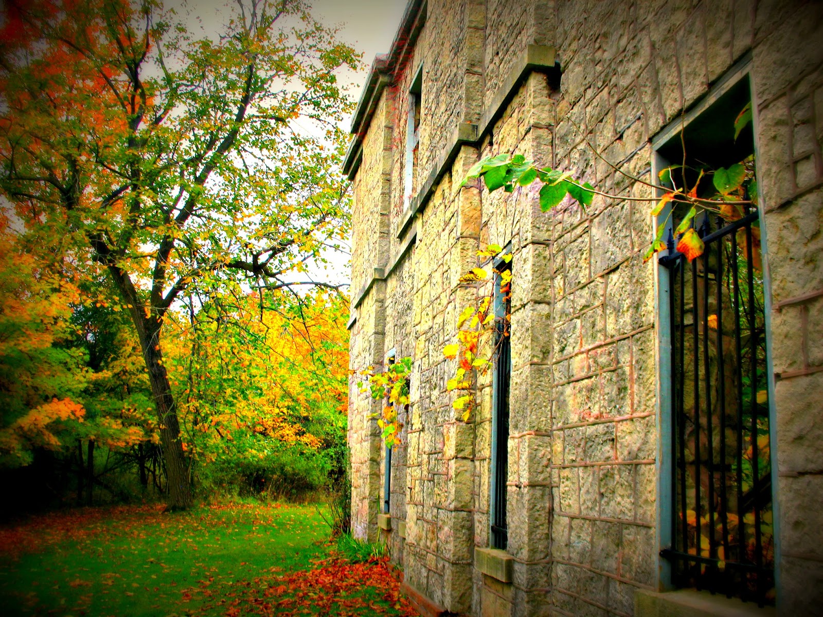 Dundas Valley Outdoors Fall Hike to the Hermitage