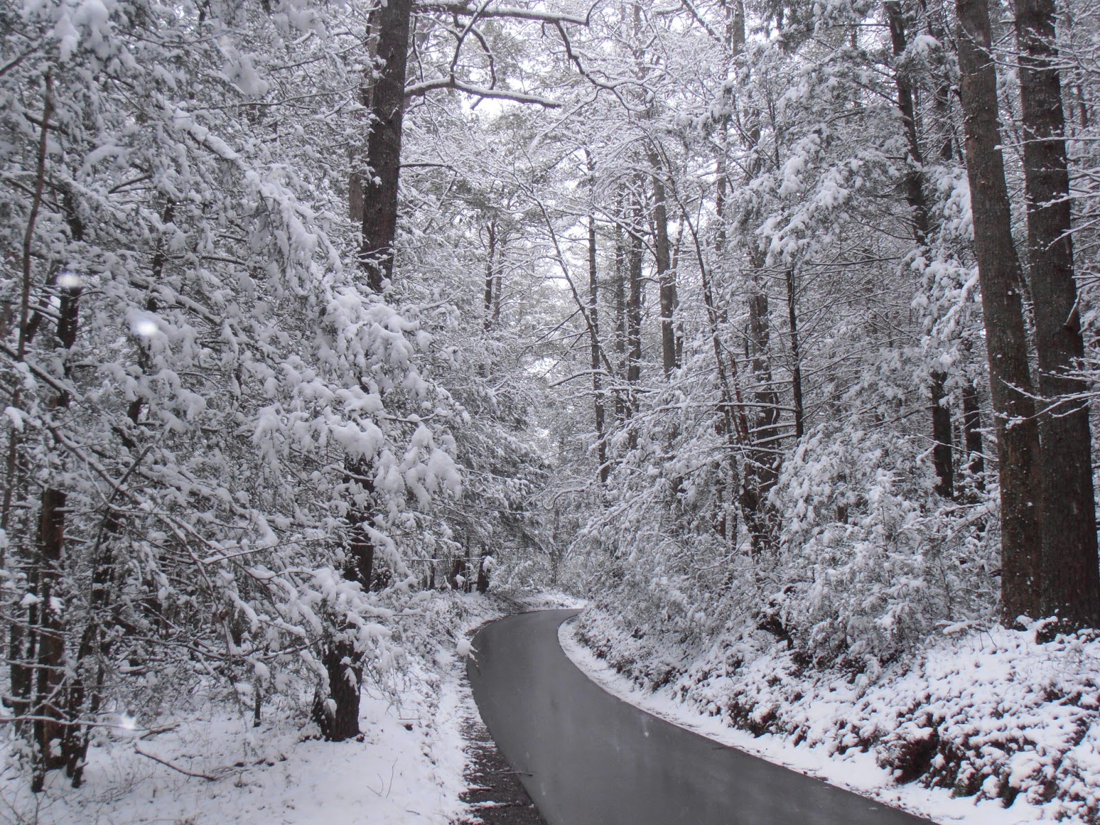 American Travel Journal Snow in Cades Cove Great Smoky Mountains