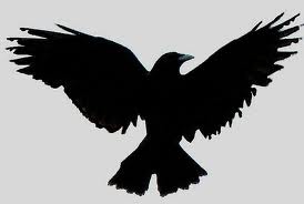 The Crow Outline
