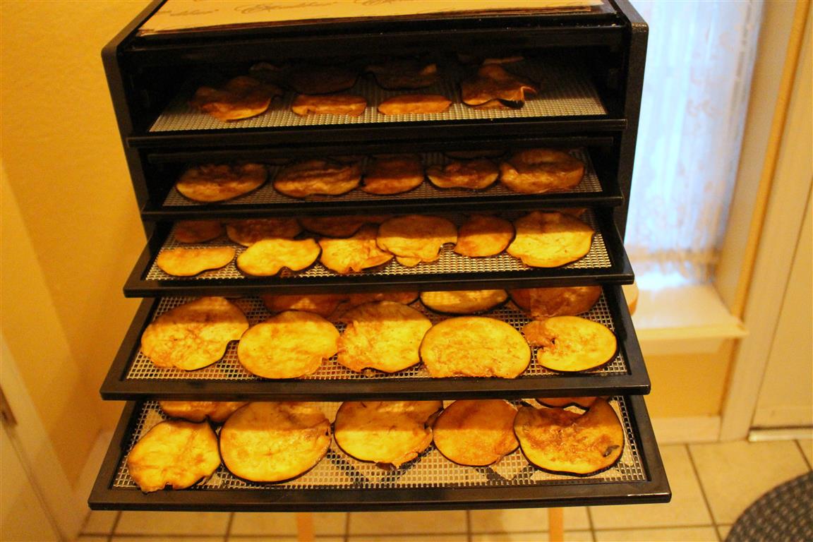 The Fiber of My Life Eggplant Bacon