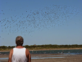 Mar de Ansenuza