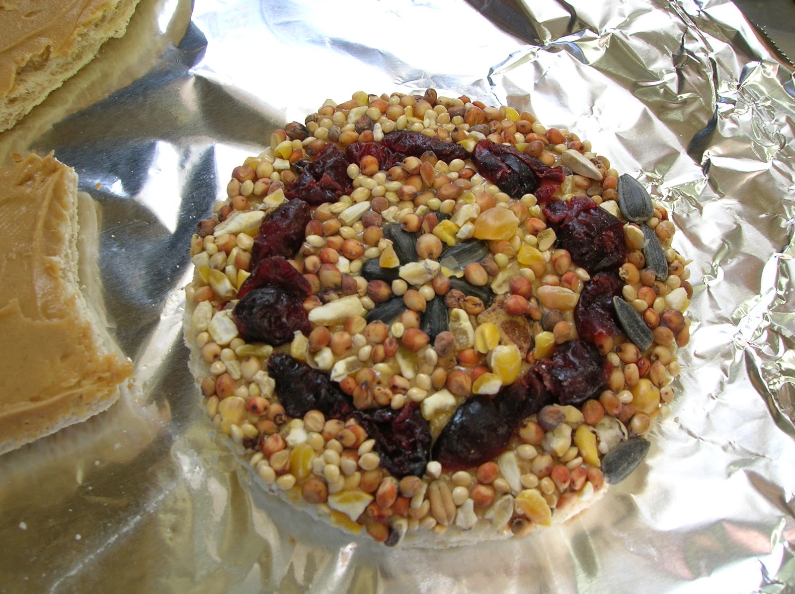 My Creative Mommy Bird Seed Treats