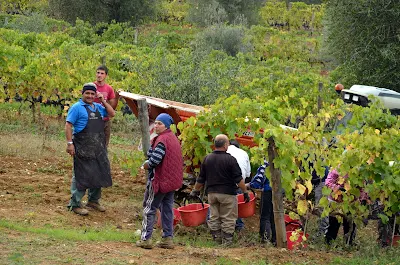 Cycling Amiata, Orcia and Brunello di Montalcino wine roads