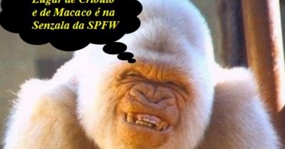 Filosofia, Religião,Ciências e Música: Para quem duvida de macaco branco e  louro