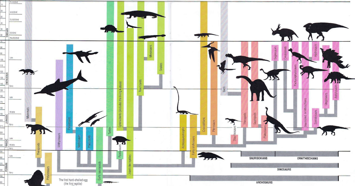 Gallery of Dinosaurs Family tree of the reptiles and their descendants