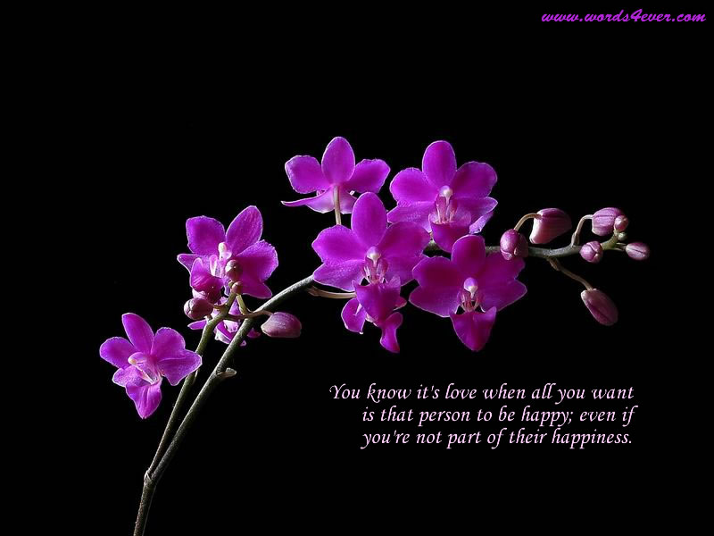 Quotes And Wallpapers
