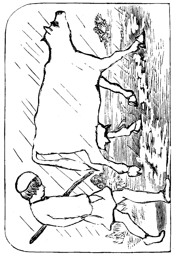 Coloring Pages Clip Art 052615» Vector Clip Art - Free Clip Art Images