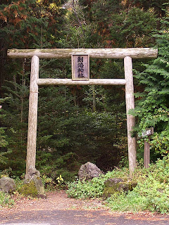 Статья про Японию - вход в лес Аокигахара у подножия Фудзиямы