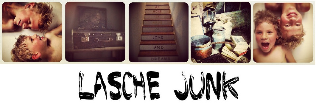 LASCHE JUNK