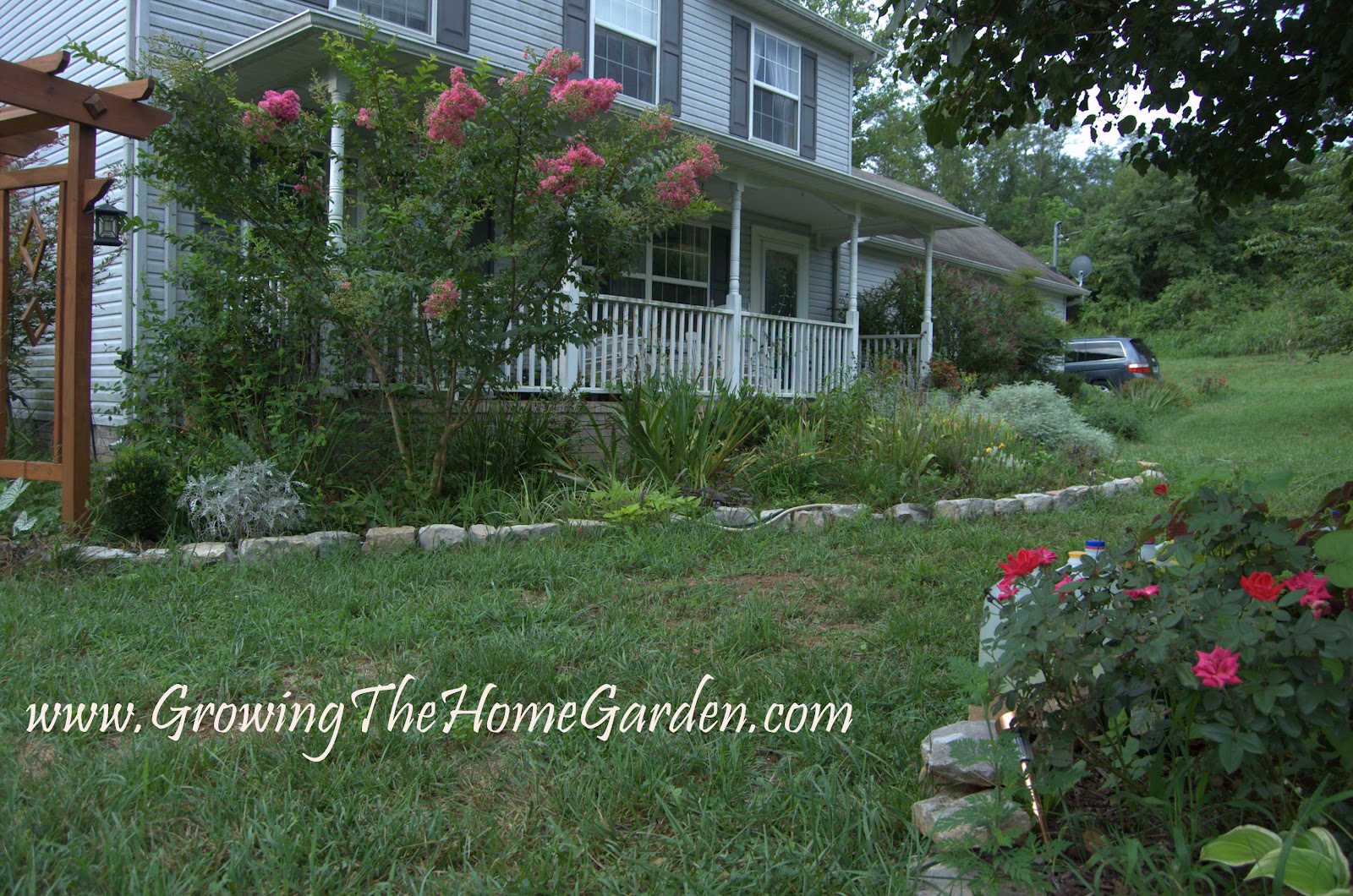 A Face Lift For An Old Rose Ramblings From A Desert Garden