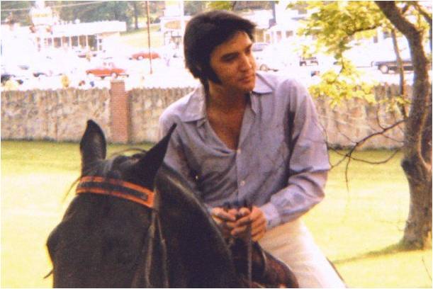 elvis+on+horseback.jpg