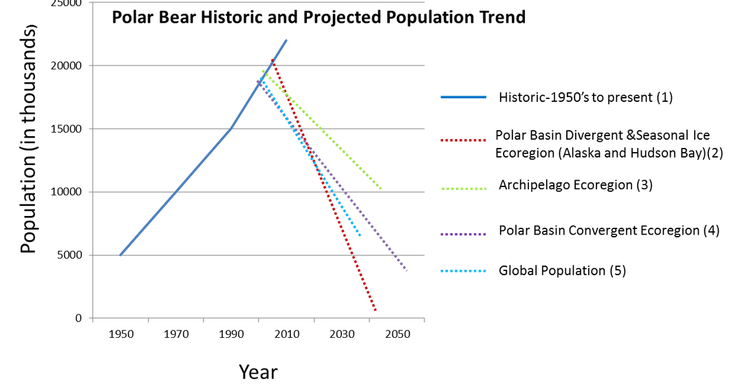 How Climate Change is Affecting the Polar Bear Population Polar Bears
