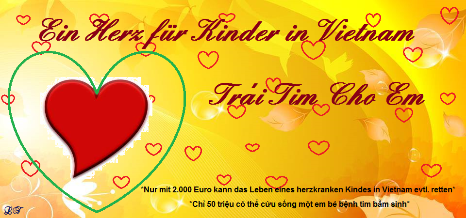 Ein Herz für Kinder in Vietnam - Trái Tim Cho Em
