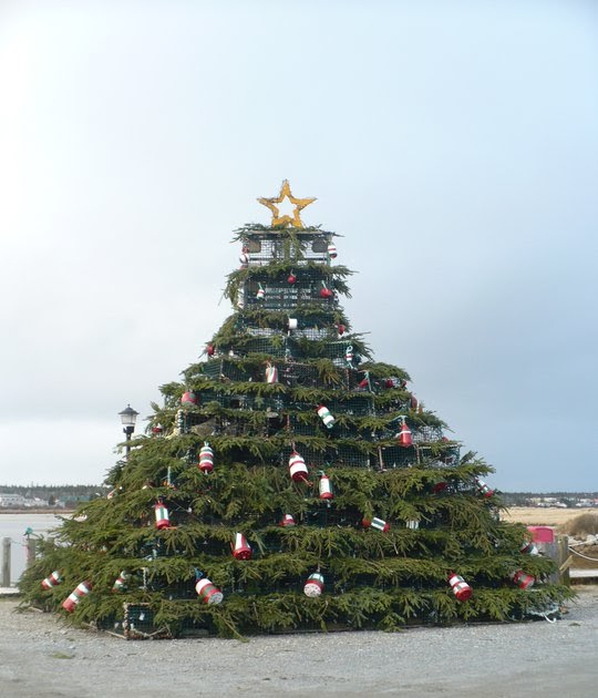 Discover Shelburne County Christmas Trees Nova Scotia style!