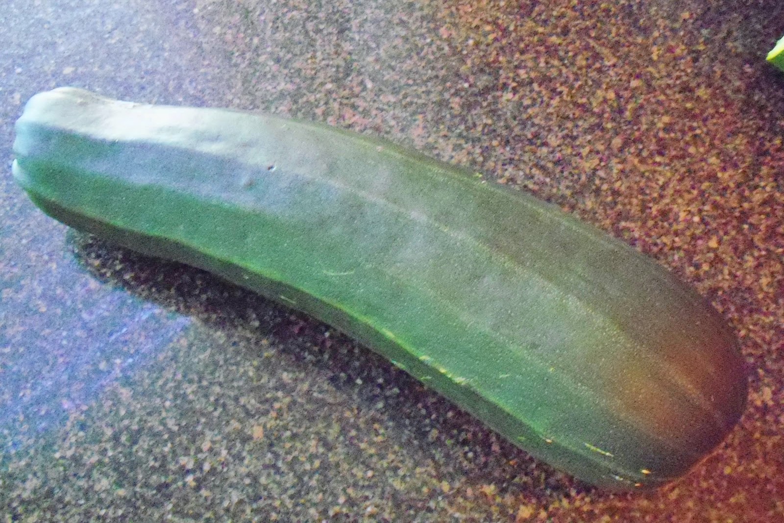 My little cottage in the making WHAT TO DO WITH THOSE GIANT ZUCCHINI