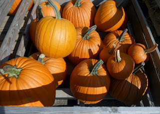 101 Things I Love about Maine: September 2013